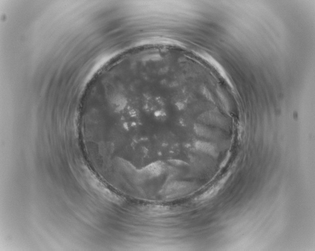 X0000088140783200705291357