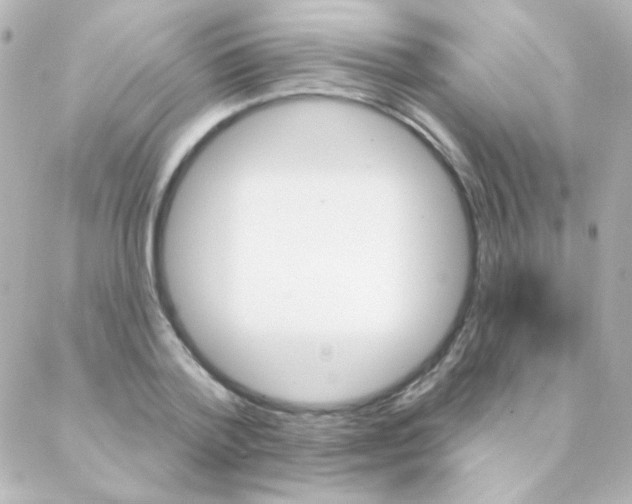 X0000088140788200705291356