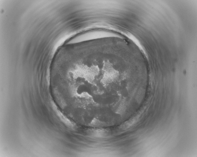 X0000088140791200705291356