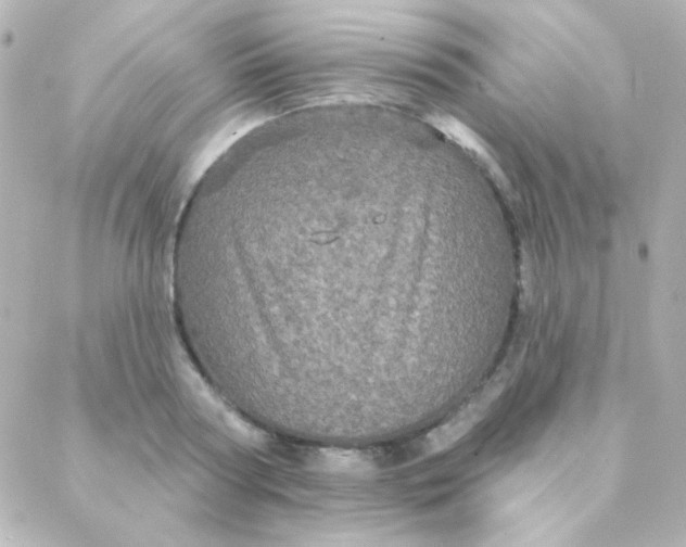 X0000088140794200705291356