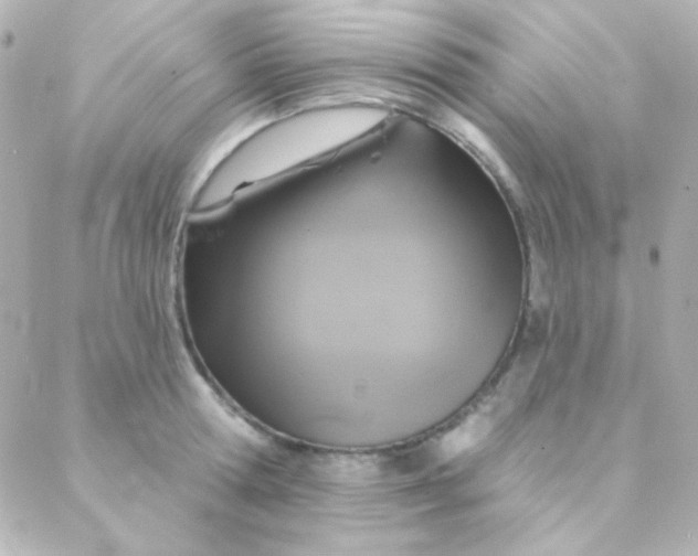 X0000088140802200705291356