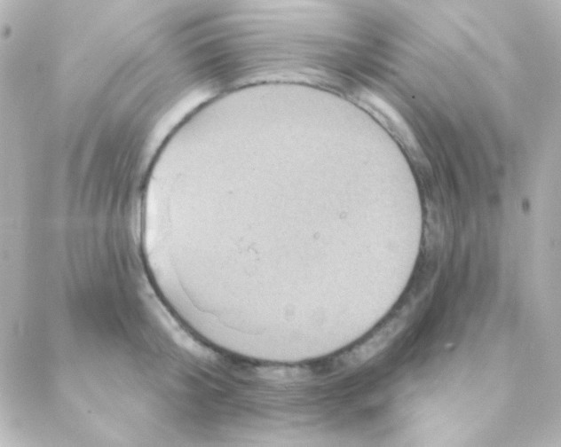 X0000088140804200705291356