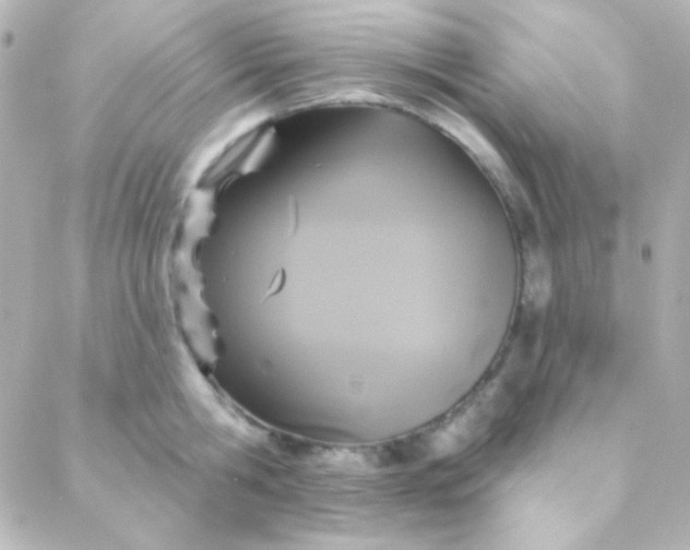 X0000088140806200705291356