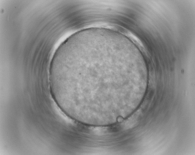 X0000088140808200705291356