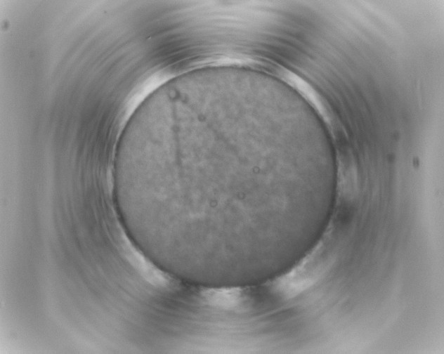 X0000088140810200705291356