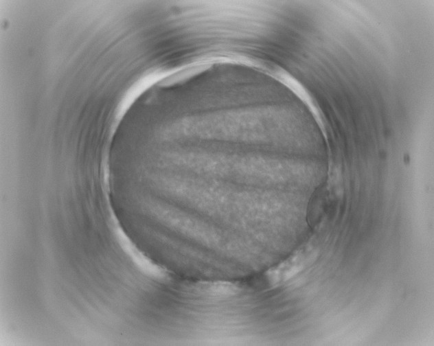 X0000088140811200705291356