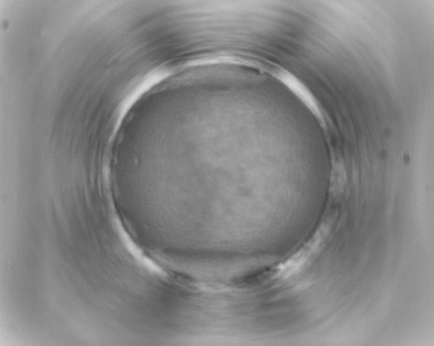 X0000088140813200705291356