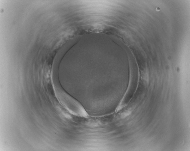 X0000088140818200705291355