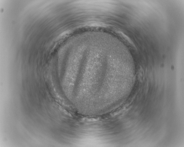 X0000088140821200705291355