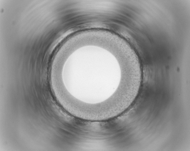 X0000088140828200705291355