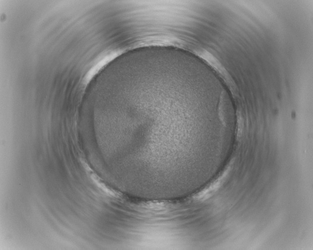 X0000088140834200705291356