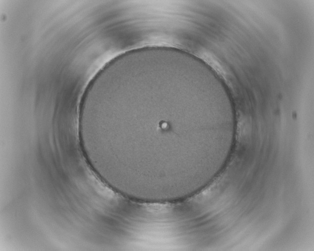 X0000088140836200705291356