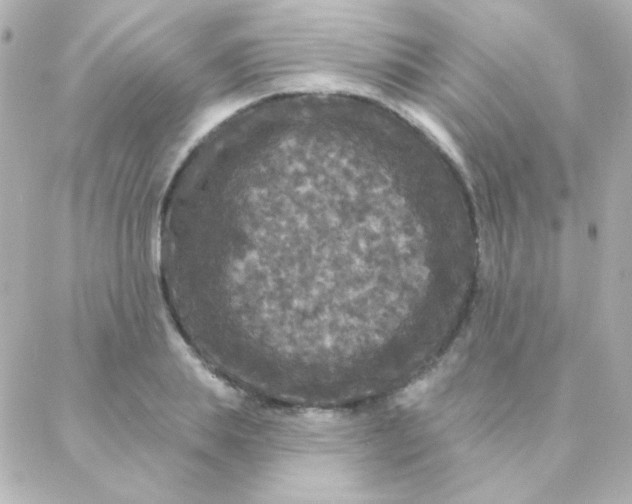 X0000088140839200705291356