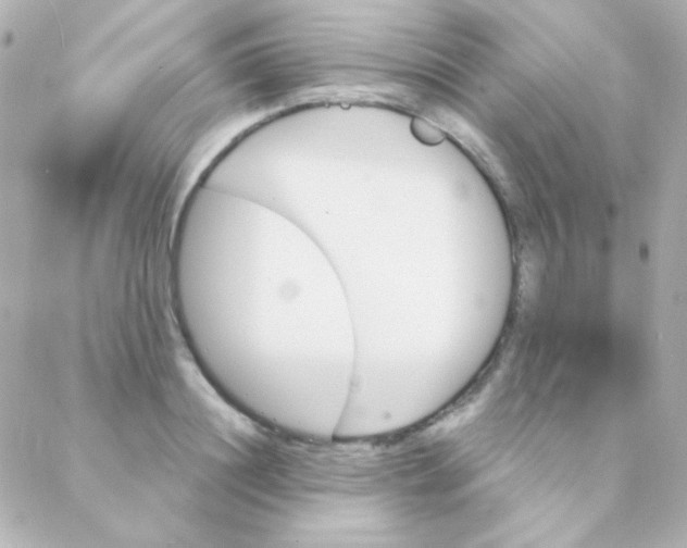 X0000088140844200705291356