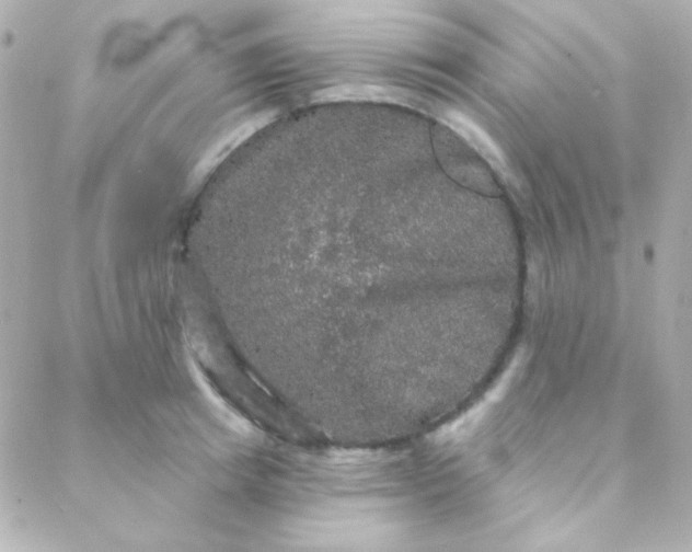 X0000088140849200705291356