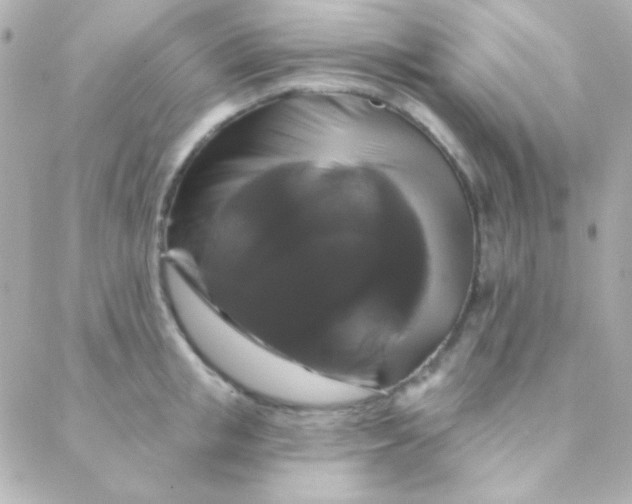 X0000088140853200705291356