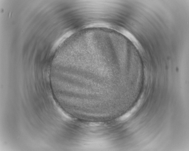 X0000088140857200705291356