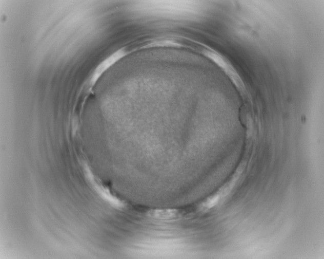 X0000088140858200705291356