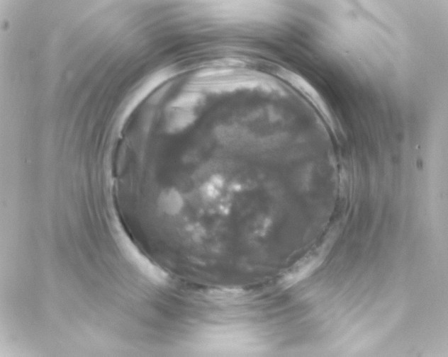 X0000088140859200705291356