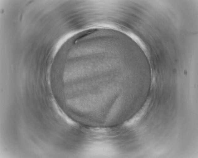 X0000088140862200705291356