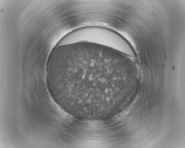 X0000088140895200705291355