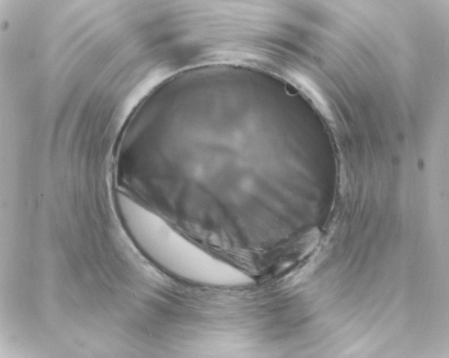 X0000088140899200705291355