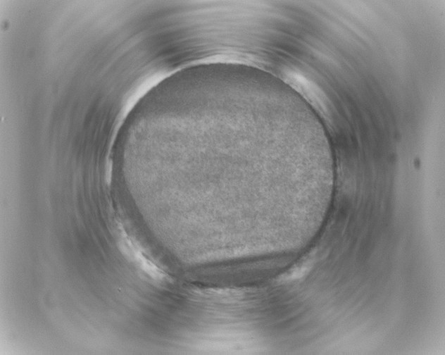 X0000088140900200705291355