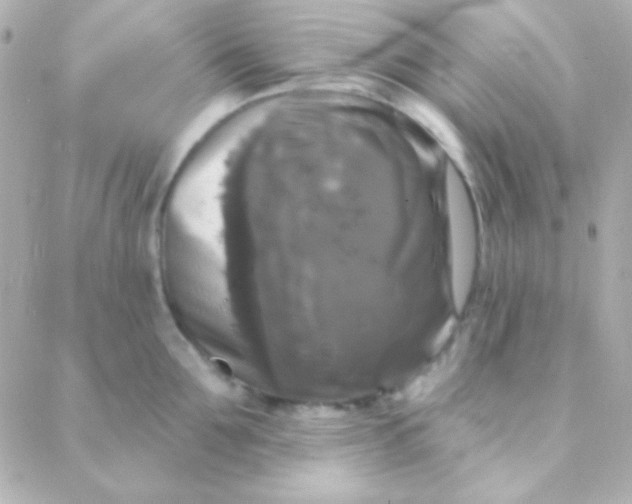 X0000088140907200705291355