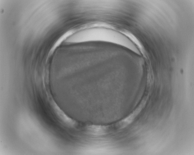X0000088140910200705291355