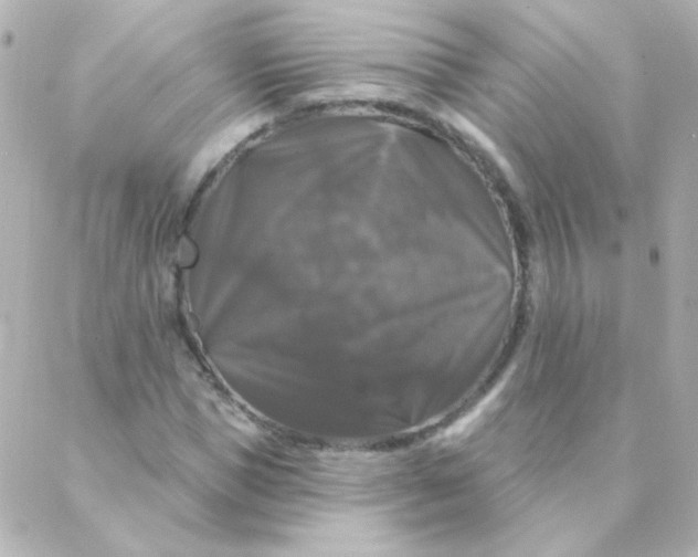 X0000088140921200705291354