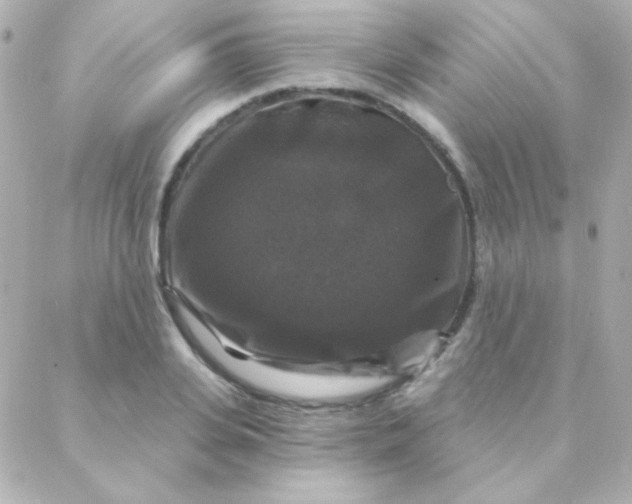 X0000088140935200705291354