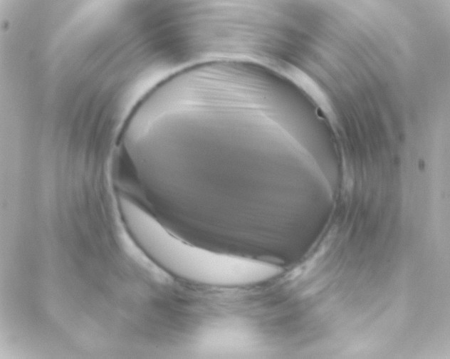 X0000088140958200705291354