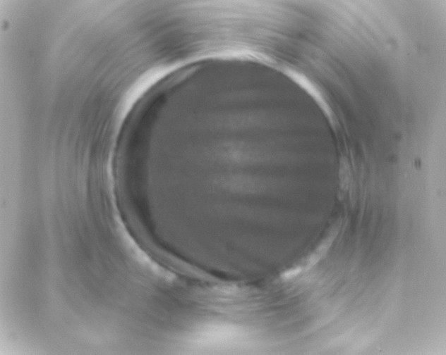 X0000088140959200705291354