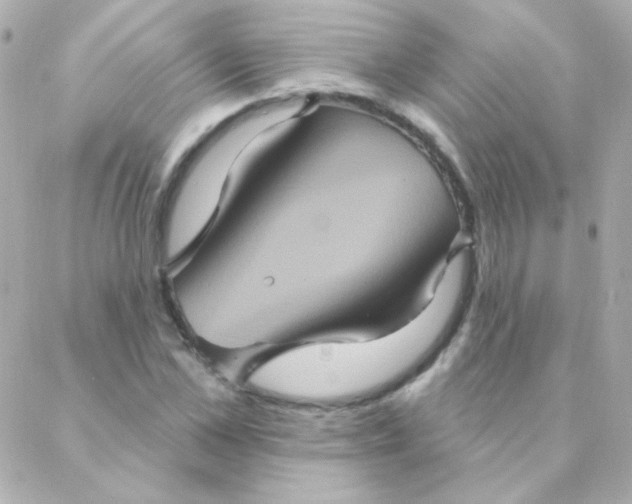 X0000088140973200705291353