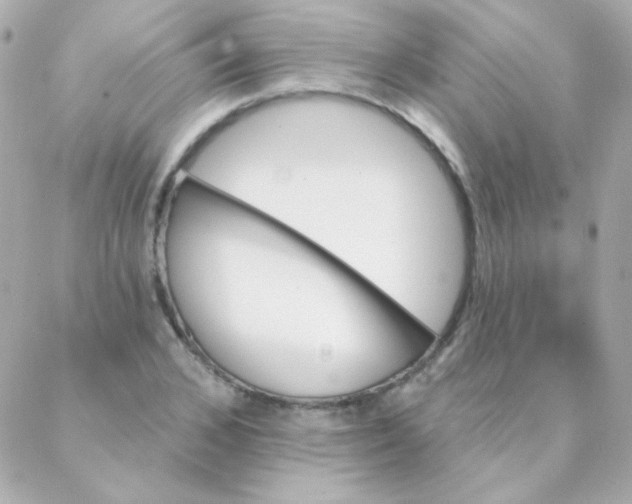 X0000088140976200705291353