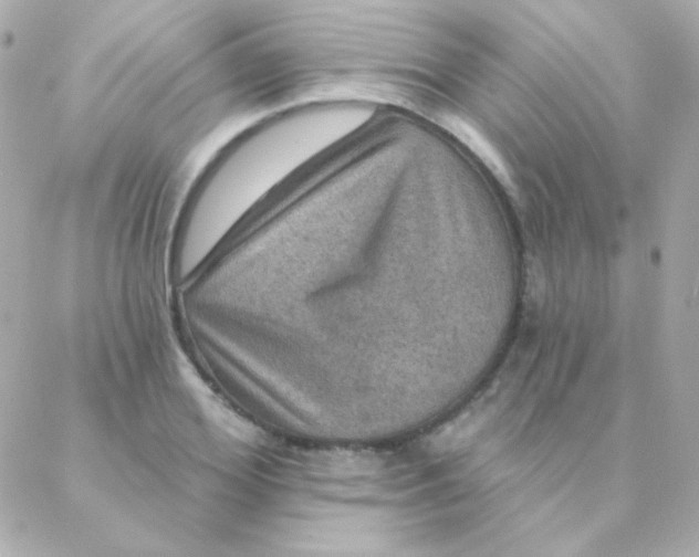 X0000088140980200705291353