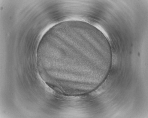 X0000088140996200705291353