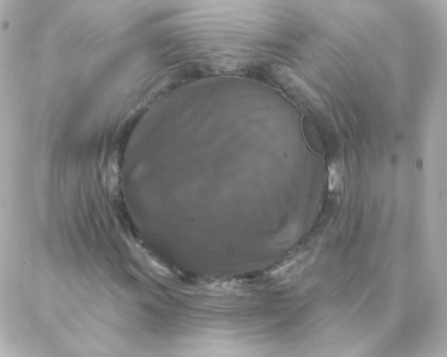 X0000088141011200705291352