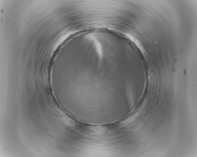 X0000088141023200705291352
