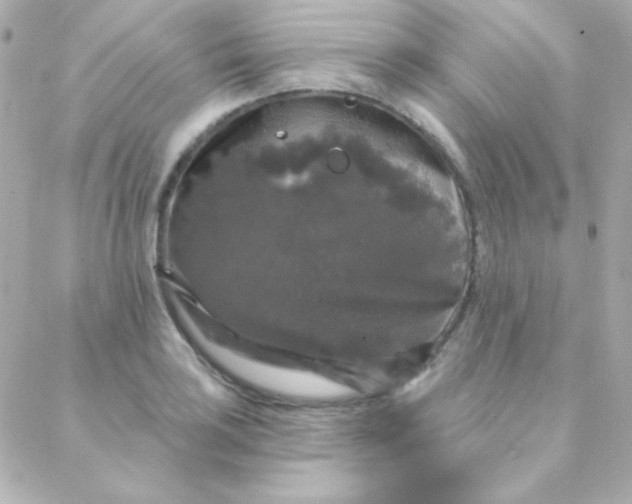 X0000088141035200705291353