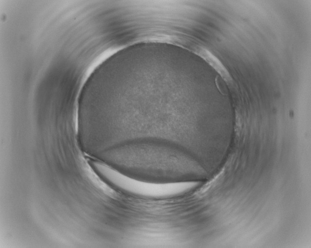 X0000088141036200705291353