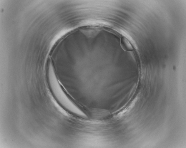 X0000088141037200705291353