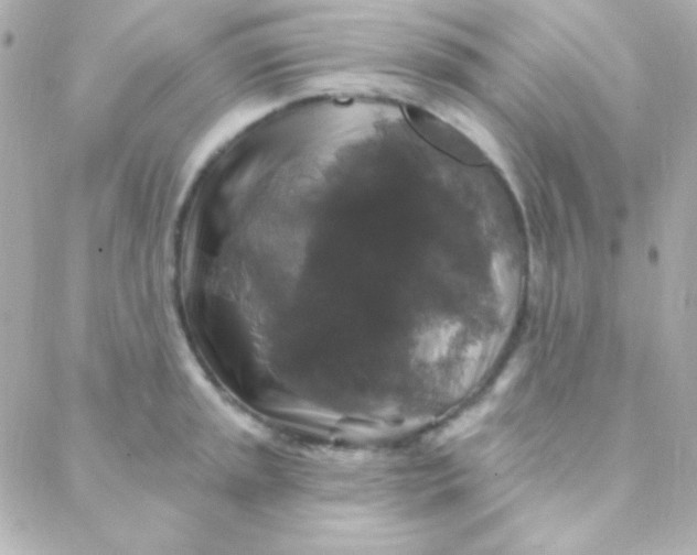 X0000088141045200705291353
