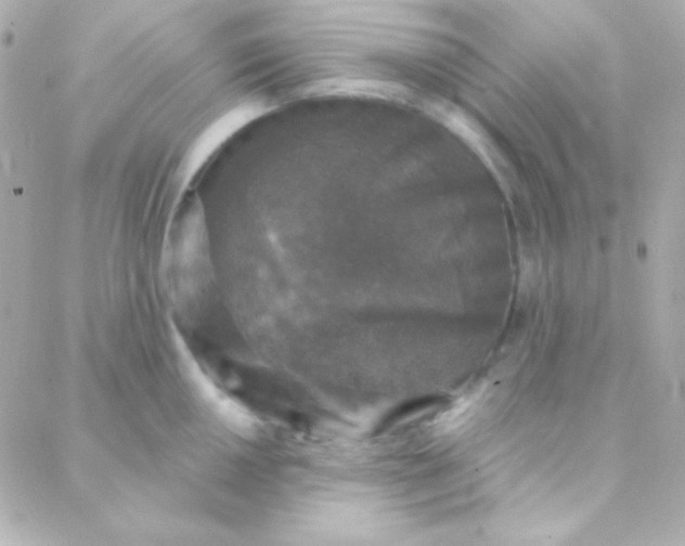 X0000088141050200705291353