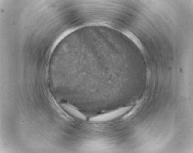 X0000088141052200705291353
