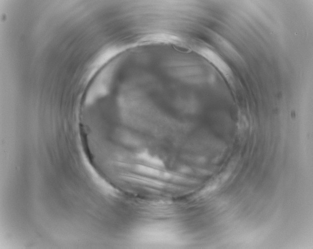 X0000088141055200705291353