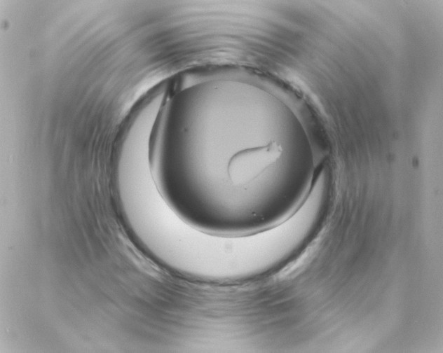 X0000088141065200705291352