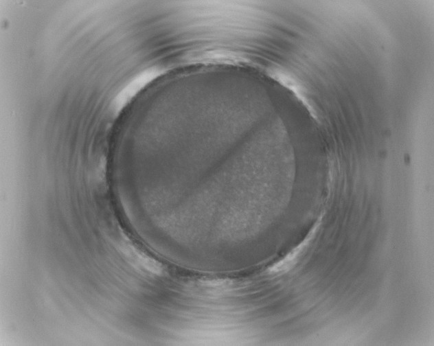 X0000088141066200705291352