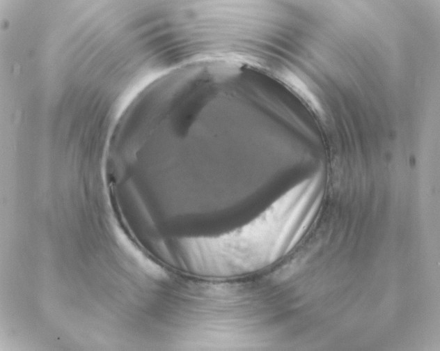 X0000088141084200705291352