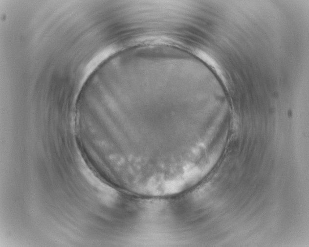 X0000088141090200705291352